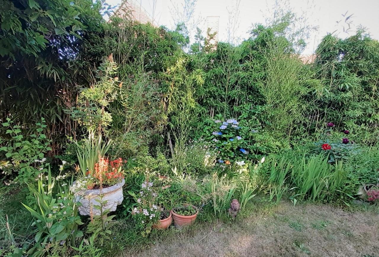Villa Ritte Termonde Extérieur photo