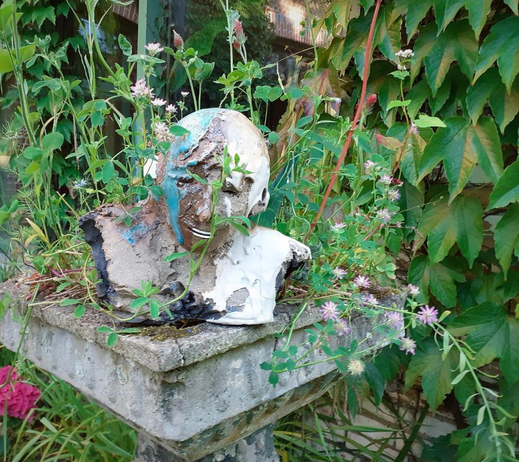 Villa Ritte Termonde Extérieur photo