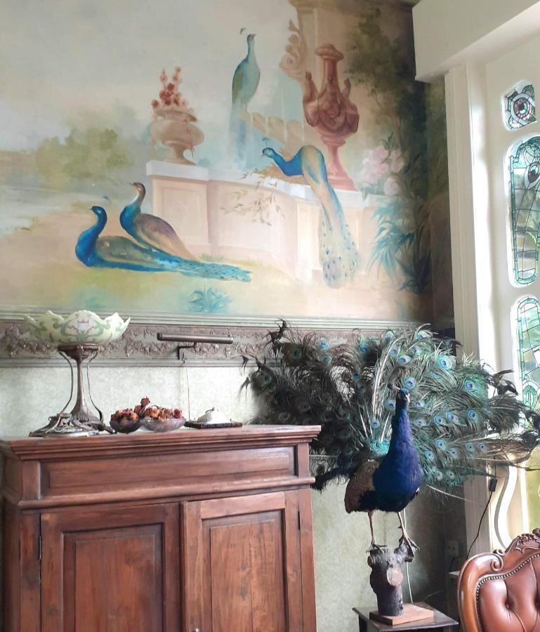 Villa Ritte Termonde Extérieur photo